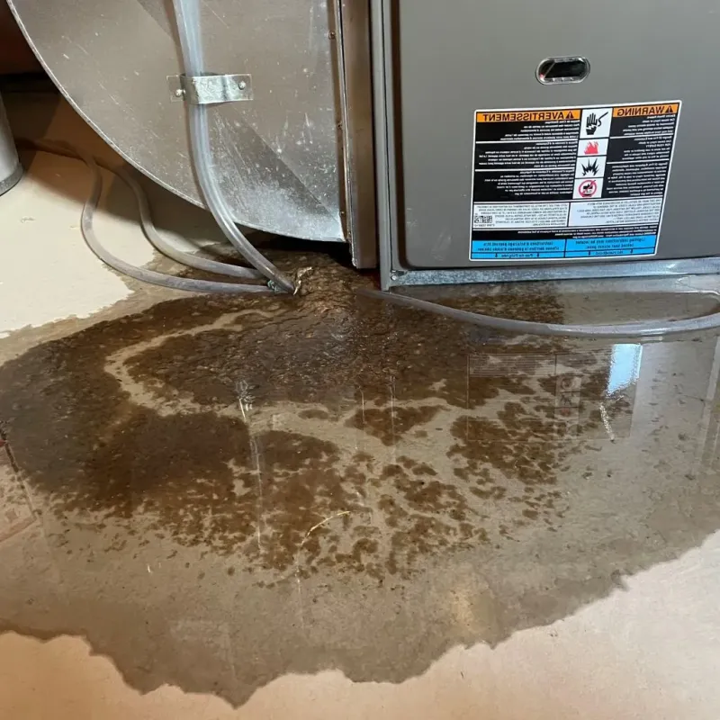 Pipe Burst and Leak Restoration in Lewistown, MT